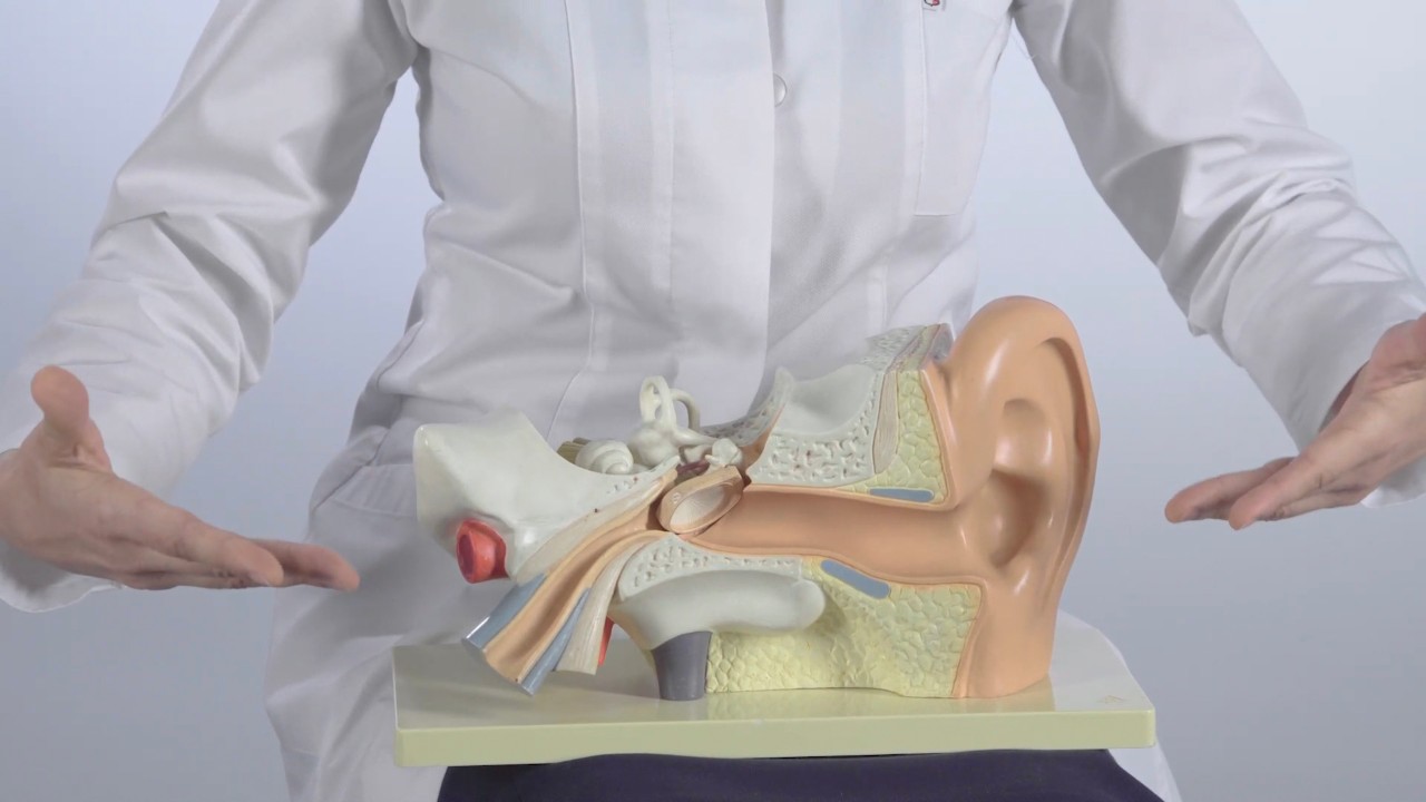 Bougie oreille cire naturelle 10 PCS - Traitement de soin oreille santé  acouphène nettoyant de bougie de retrait de cire oreille